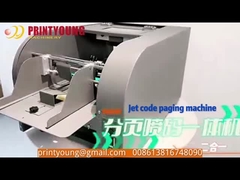 T-W Series Multi-Nozzles Online Inkjet Coding Paging Machine with Two-Page Separation Function