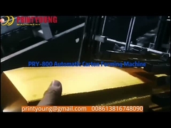 PRY-800 Paper Carton Erecting Fruit Box Forming Machine with Servo Motor